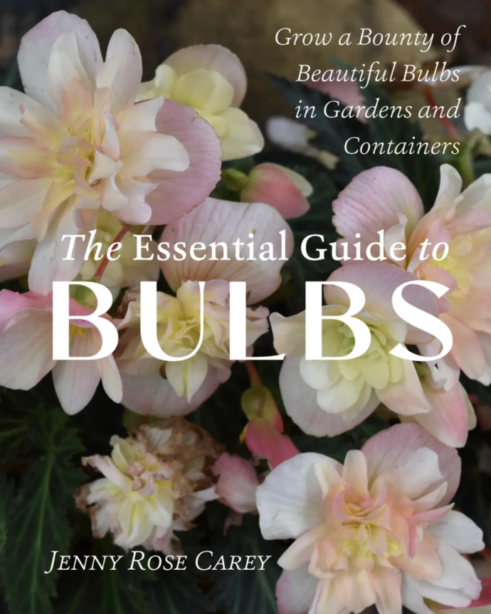 Book Cover: The Essential Guide to Bulbs by Jenny Rose Carey